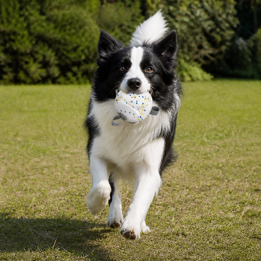 Eco-Friendly Indestructible Dog Ball – Bite Resistant Interactive Tug & Fetch Toy