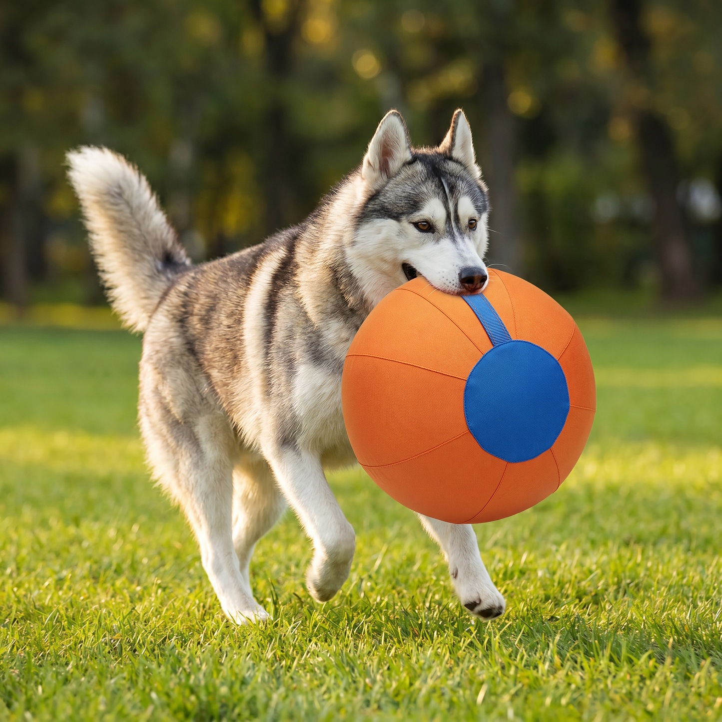 Durable training ball with cover for dogs