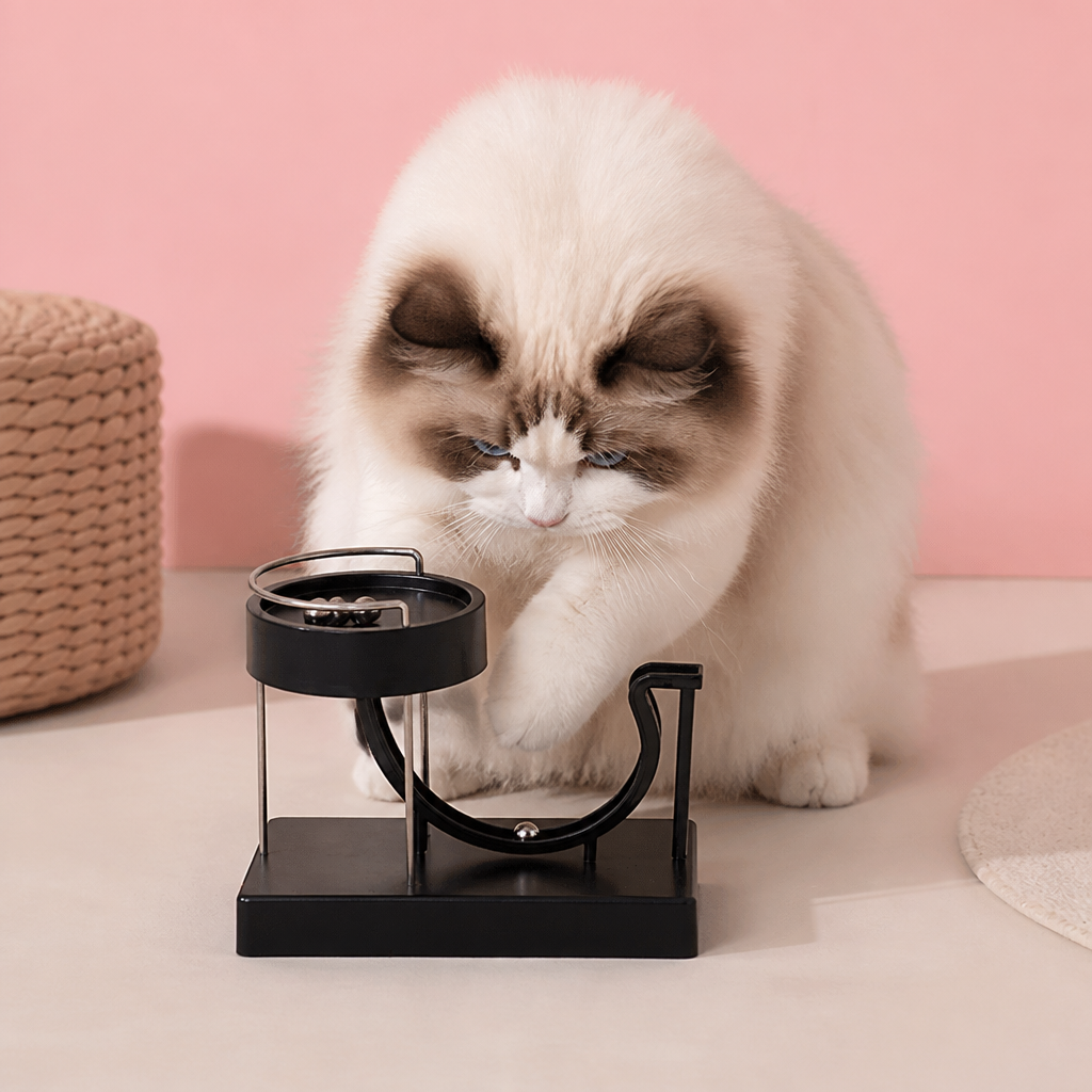 Marble run cat toy for endless fun