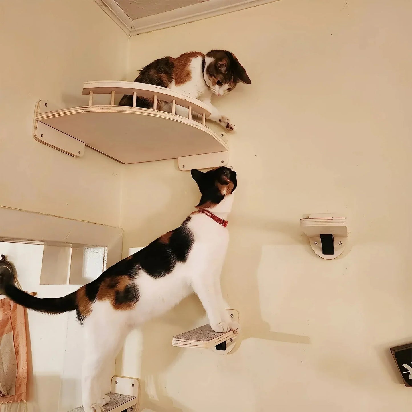 Customizable Cat Wall Scratching Tree