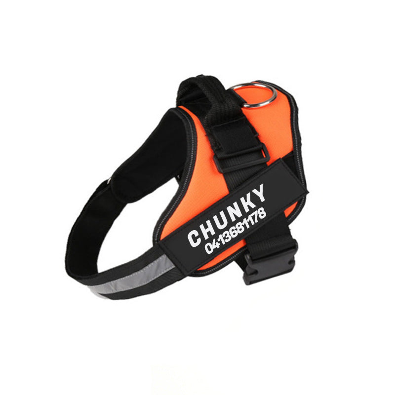 Personalized No-Pull Dog Harness