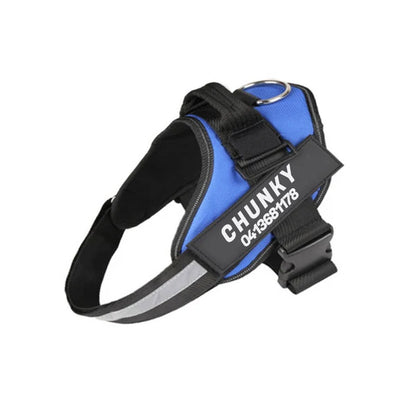 Personalized No-Pull Dog Harness for Easier Walks
