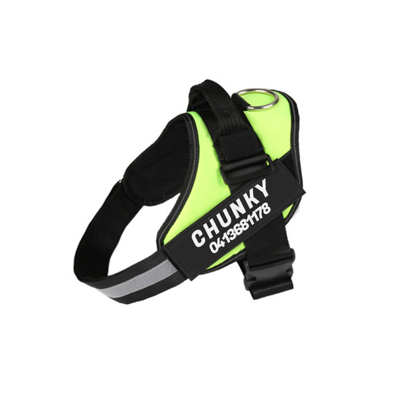 Personalized No-Pull Dog Harness