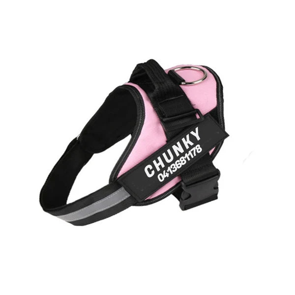 Personalized No-Pull Dog Harness for Easier Walks
