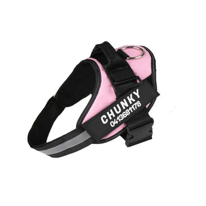 Personalized No-Pull Dog Harness for Easier Walks