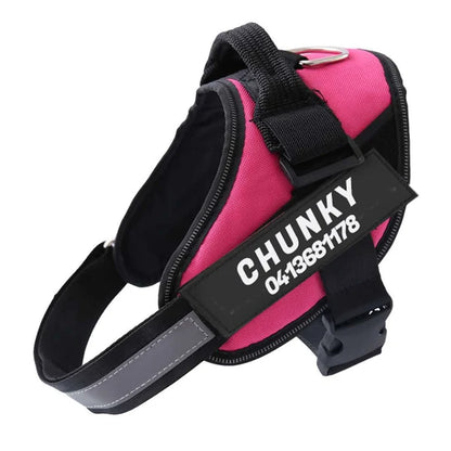 Personalized No-Pull Dog Harness for Easier Walks
