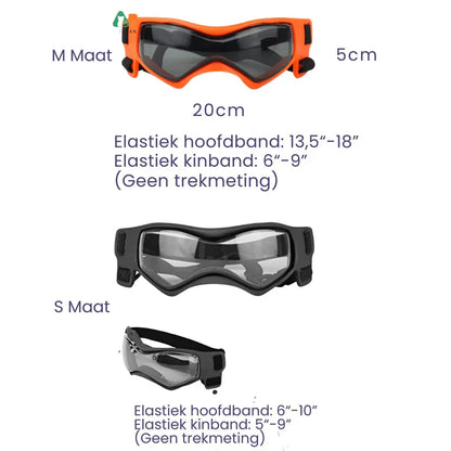 Stylish Dog Helmet with Goggles