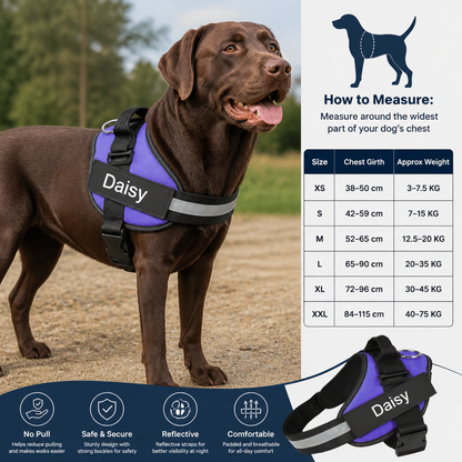 Personalized No-Pull Dog Harness for Easier Walks
