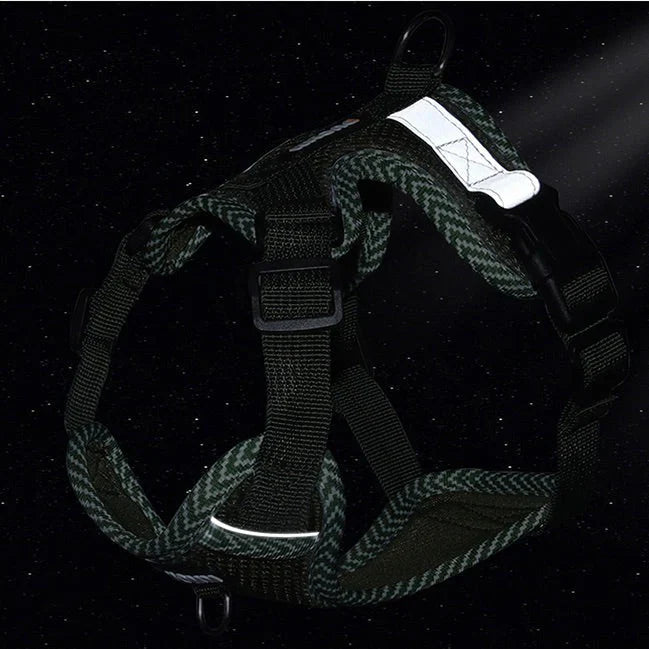 Reflective Dog Harness with Leash for Small Dogs