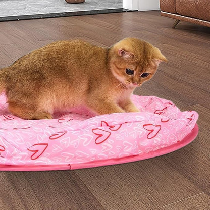 Cat Hide-and-Seek Game
