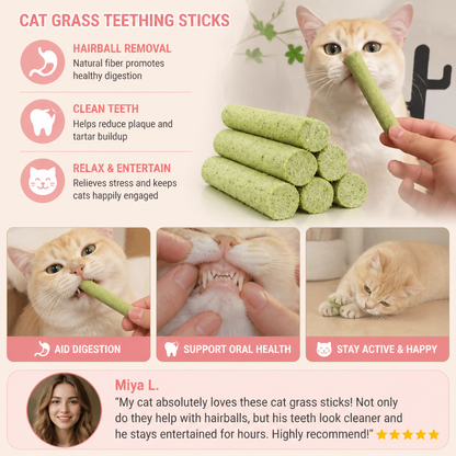 Cat Grass Teething Sticks for Hairball Removal and Clean Teeth