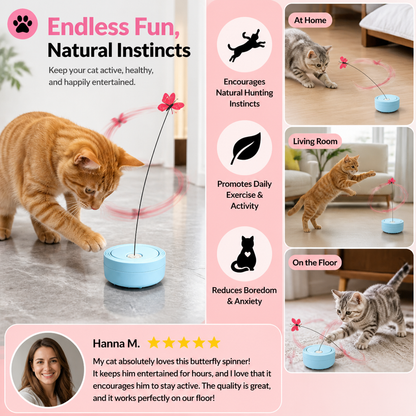 Interactive Butterfly Spinner Cat Toy