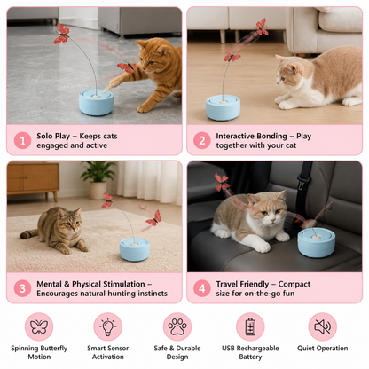 Interactive Butterfly Spinner Cat Toy