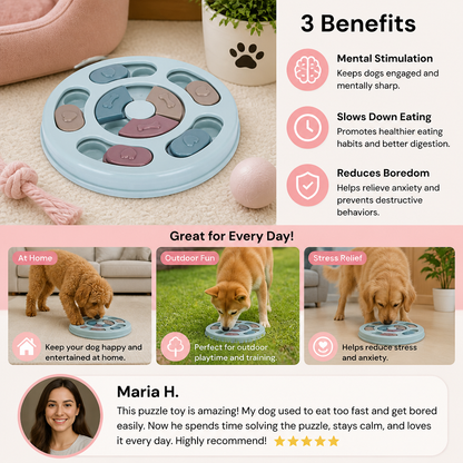 Interactive food puzzle for dogs