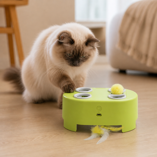 Automatic Feather Chase Toy for Cats