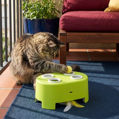Automatic Feather Chase Toy for Cats