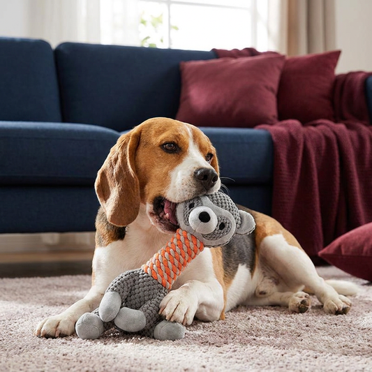 Durable Animal Plush Rope Dog Toy with Squeaker & Teeth Cleaning