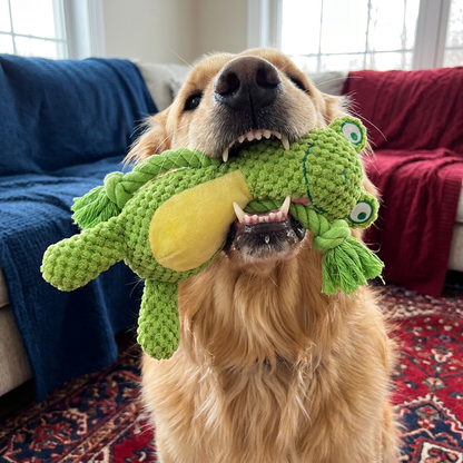 Cotton Rope Plush Dental Squeaky Dog Toy