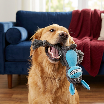 Cotton Rope Plush Dental Squeaky Dog Toy