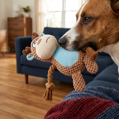 Cotton Rope Plush Dental Squeaky Dog Toy