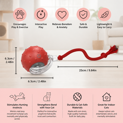 Interactive Play Ball With Tail For Cats