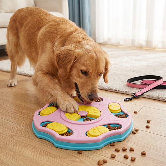Interactive food puzzle for dogs