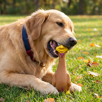 Durable Natural Latex Teeth Cleaning Dog Chew Toy