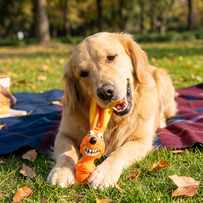 Durable Natural Latex Teeth Cleaning Dog Chew Toy
