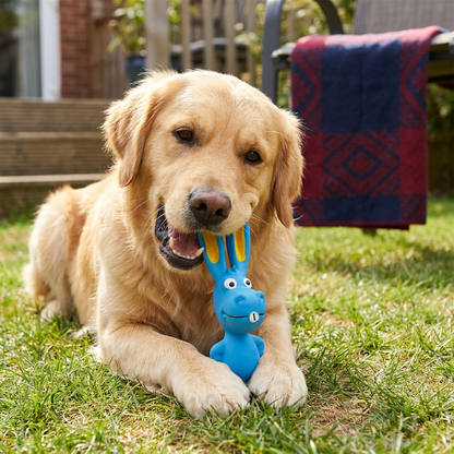 Durable Natural Latex Teeth Cleaning Dog Chew Toy