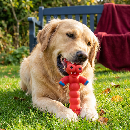 Durable Natural Latex Teeth Cleaning Dog Chew Toy