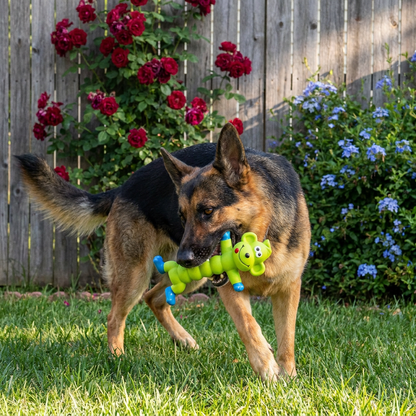 Durable Natural Latex Teeth Cleaning Dog Chew Toy