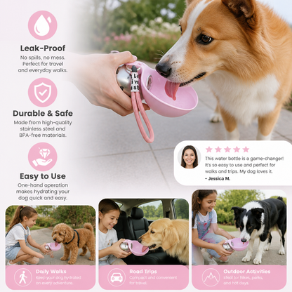 2-in-1 Travel Water Bottle for Dogs – Leak-Proof Stainless Steel Bottle with Silicone Bowl