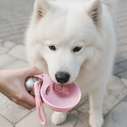 2-in-1 Travel Water Bottle for Dogs – Leak-Proof Stainless Steel Bottle with Silicone Bowl