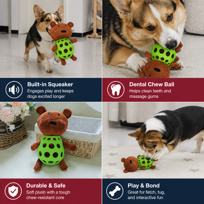 2-in-1 Bear Dog Toy – Squeaky Plush & Dental Chew Ball