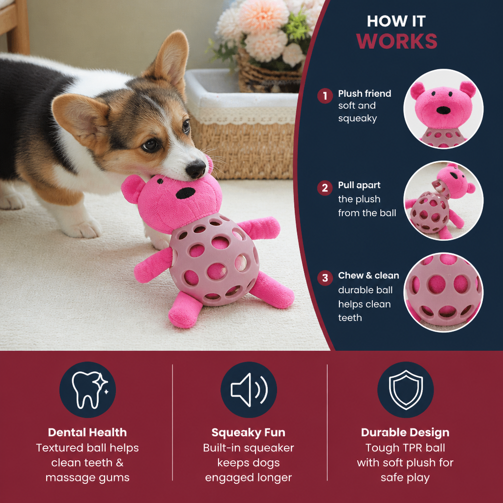 2-in-1 Bear Dog Toy – Squeaky Plush & Dental Chew Ball