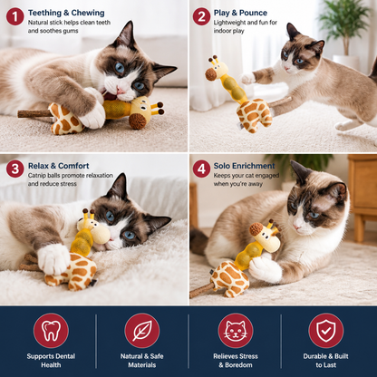 3-in-1 Dental Giraffe Cat Toy – Plush, Catnip Balls & Natural Chew Stick
