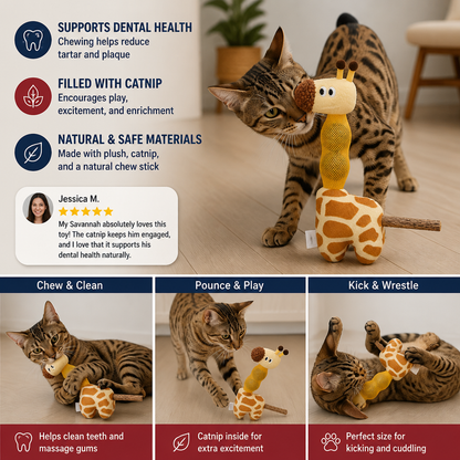 3-in-1 Dental Giraffe Cat Toy – Plush, Catnip Balls & Natural Chew Stick