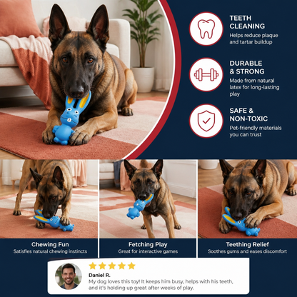 Durable Natural Latex Teeth Cleaning Dog Chew Toy