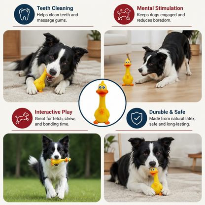 Durable Natural Latex Teeth Cleaning Dog Chew Toy
