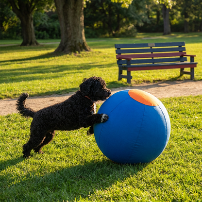 Inflatable Bite Resistant Herding Ball for Dogs – Durable Interactive Push & Chase Toy