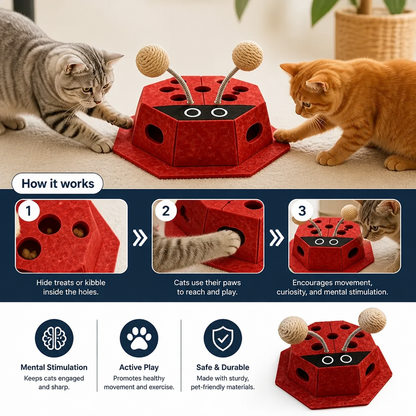 3in1 Interactive Ladybug Cat Puzzle Toy