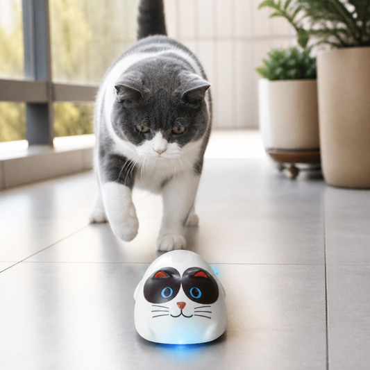 Touch-Activated Smart Cat Robot Toy