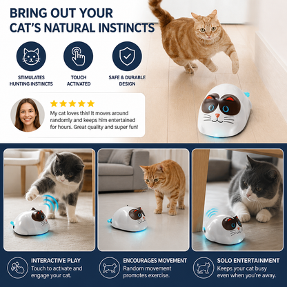 Touch-Activated Smart Cat Robot Toy
