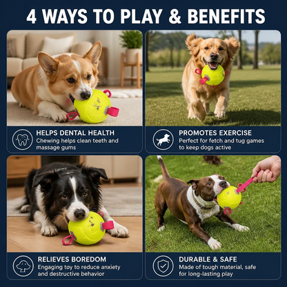 Eco-Friendly Indestructible Dog Ball – Bite Resistant Interactive Tug & Fetch Toy