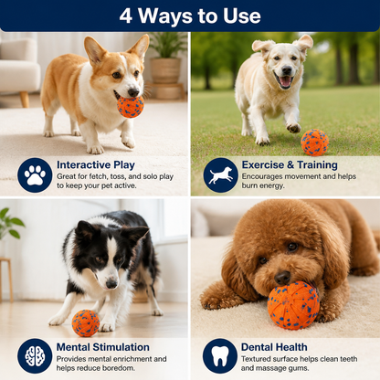 Interactive Rechargeable Dog Ball – Smart Rolling & Dental Chew Toy
