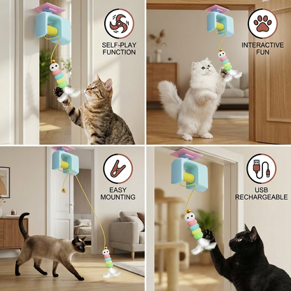 Interactive door yo-yo cat toy with self-play function