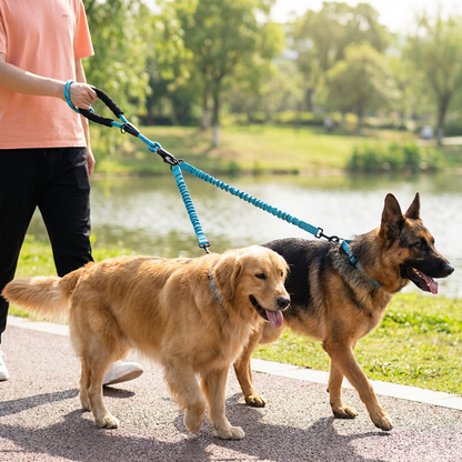 2-in-1 Dog Double Leash with 360° Swivel Joint – Tangle-Free & Shock Absorbing