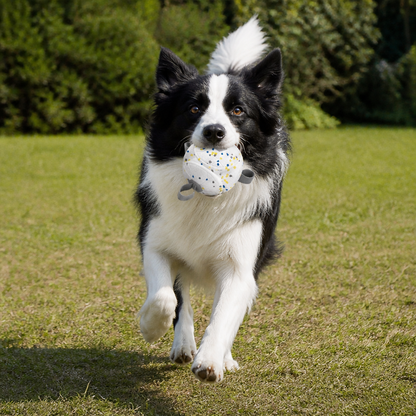 Eco-Friendly Indestructible Dog Ball – Bite Resistant Interactive Tug & Fetch Toy