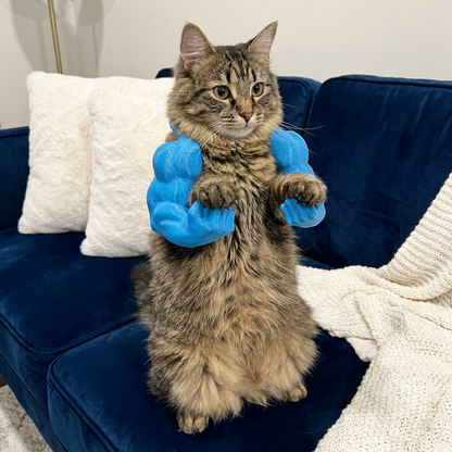 Muscle Arm Cat Costume Harness for Funny Pet Photos and Dress Up