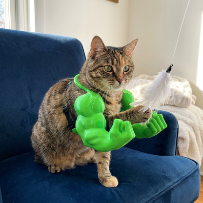 Muscle Arm Cat Costume Harness for Funny Pet Photos and Dress Up